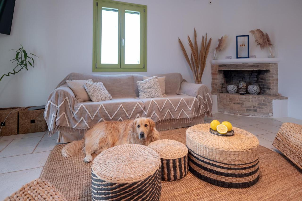 Ventu Paros Villa Márpissa Exteriör bild