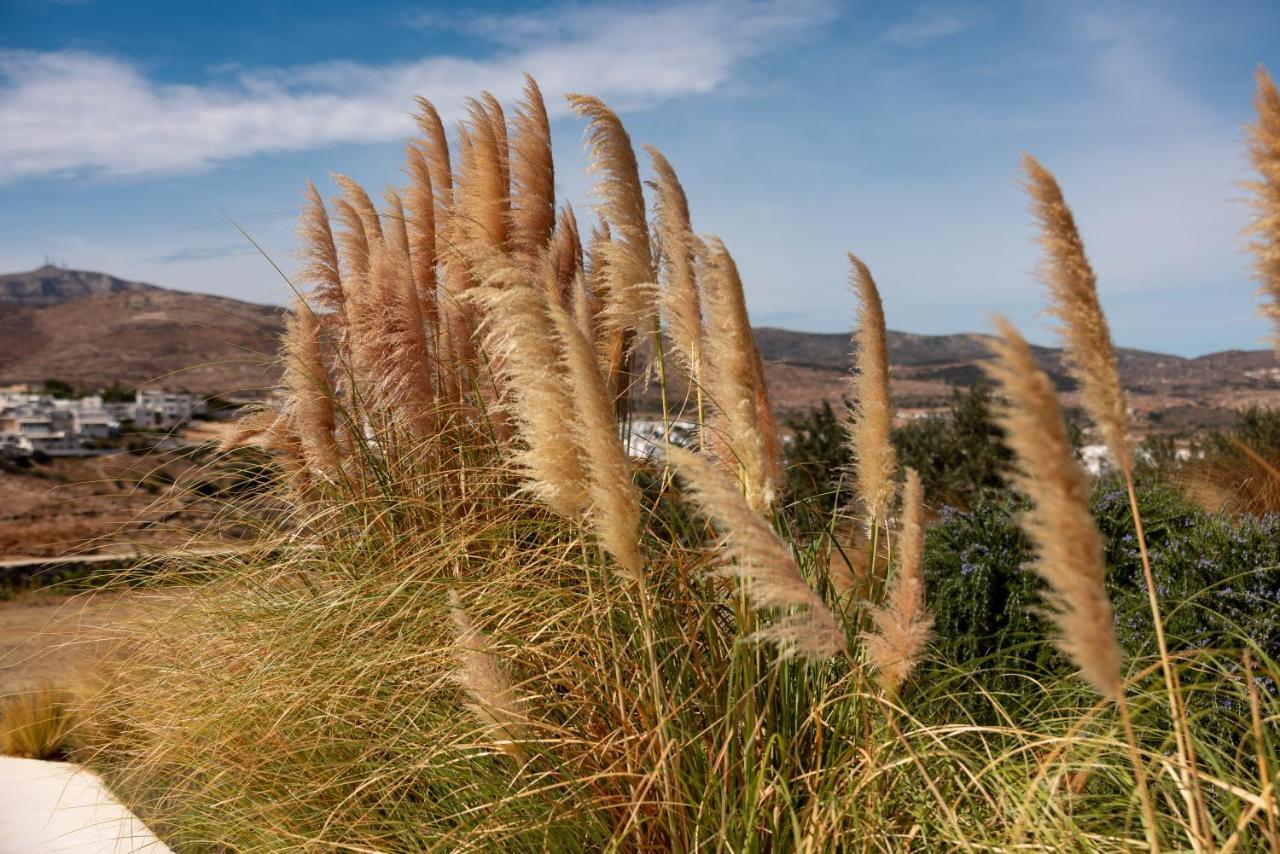 Ventu Paros Villa Márpissa Exteriör bild