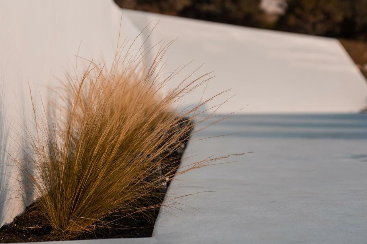 Ventu Paros Villa Márpissa Exteriör bild
